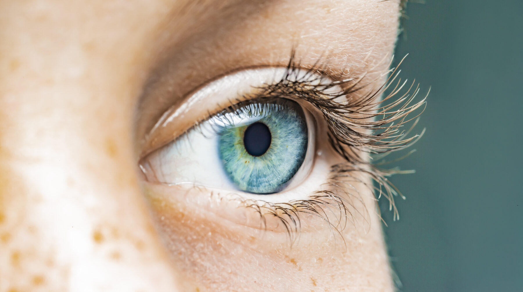 Close-up of a female eye with blue iris